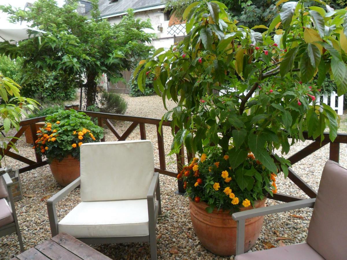 Cheillé Chambres D'Hotes La Turone מראה חיצוני תמונה